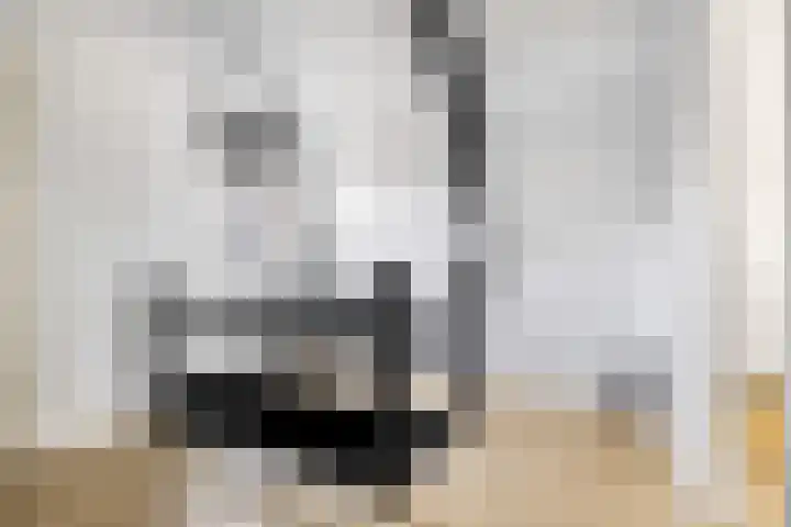 Nieuwstraat 6 Neede thumbnail 23
