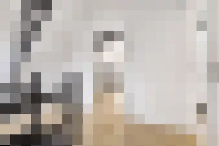 Nieuwstraat 6 Neede thumbnail 24