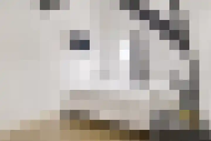 Nieuwstraat 6 Neede thumbnail 25