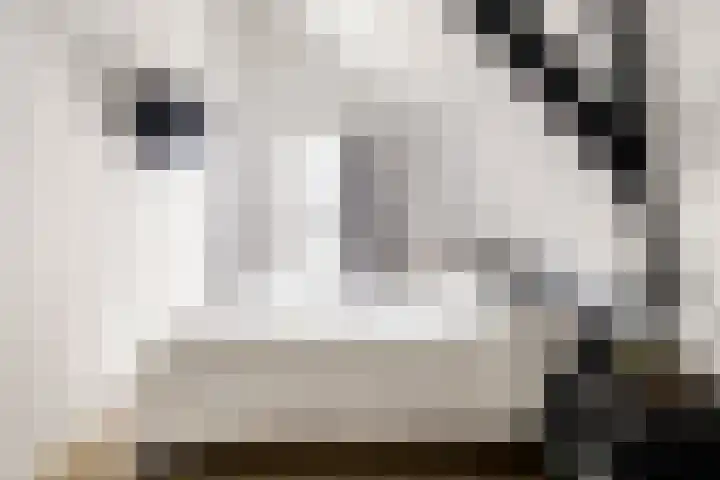 Nieuwstraat 6 Neede thumbnail 27