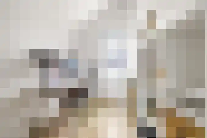 Nieuwstraat 6 Neede thumbnail 29