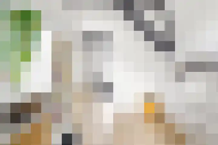 Nieuwstraat 6 Neede thumbnail 30