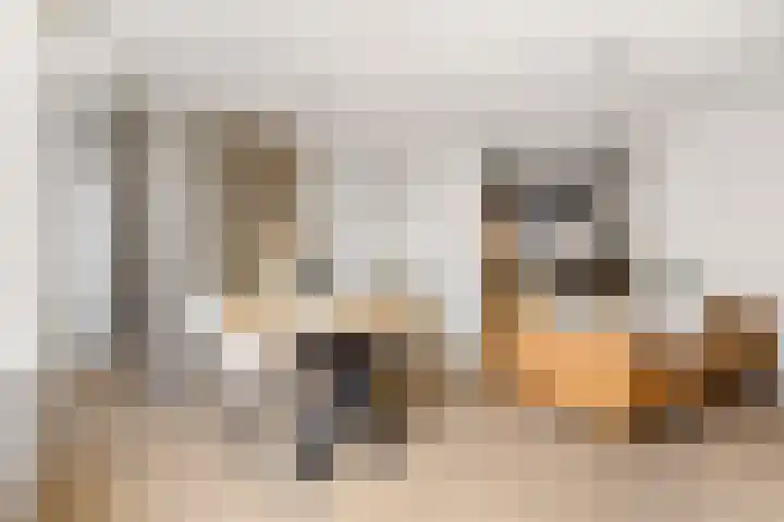 Nieuwstraat 6 Neede thumbnail 7