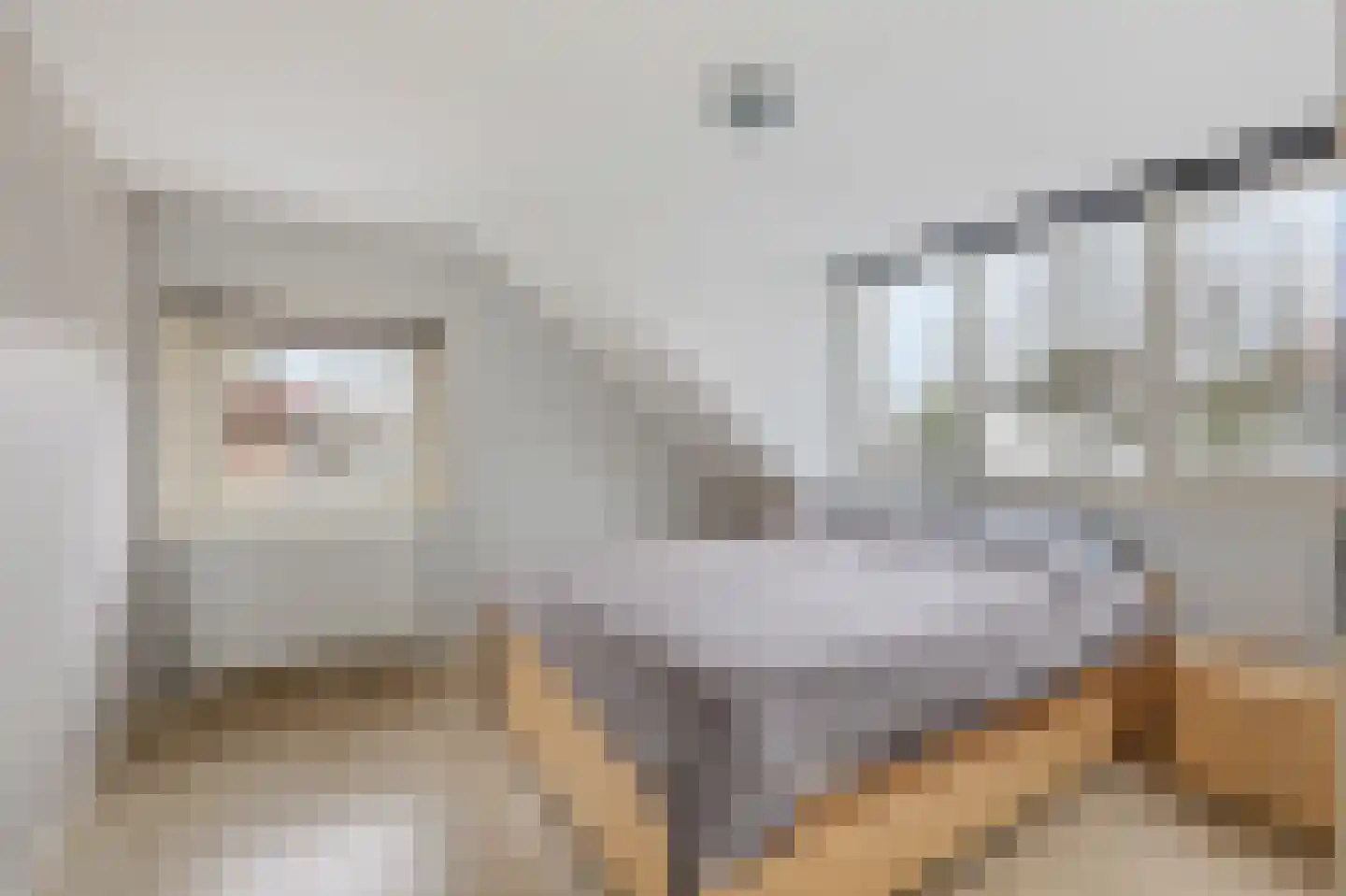 Nieuwstraat 6 Velp thumbnail 14