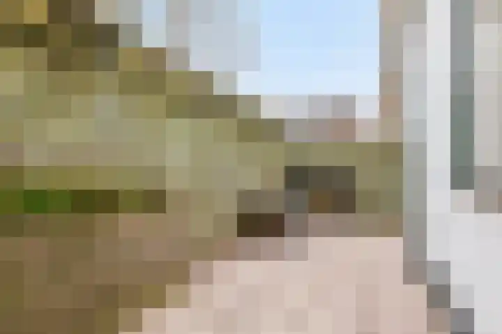 Nieuwstraat 6 Velp thumbnail 23
