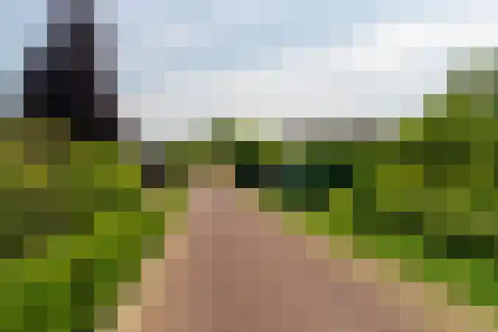 Nieuwstraat 6 Zuilichem thumbnail 10