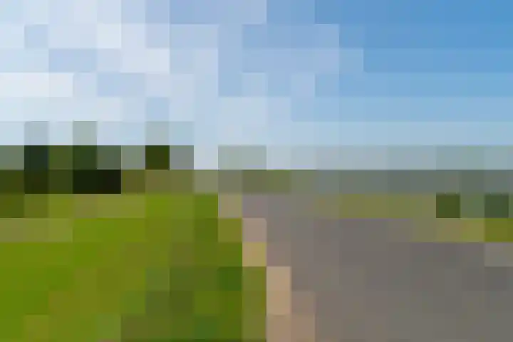Nieuwstraat 6 Zuilichem thumbnail 11