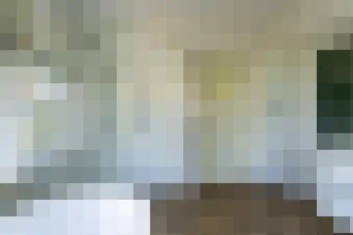 Nieuwstraat 6 Zuilichem thumbnail 22