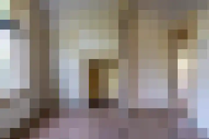 Nieuwstraat 6 Zuilichem thumbnail 25