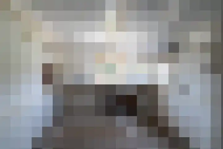 Nieuwstraat 6 Zuilichem thumbnail 28