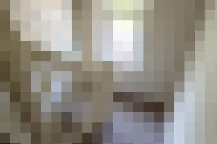 Nieuwstraat 6 Zuilichem thumbnail 29