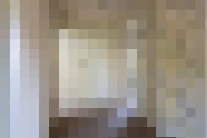 Nieuwstraat 6 Zuilichem thumbnail 31