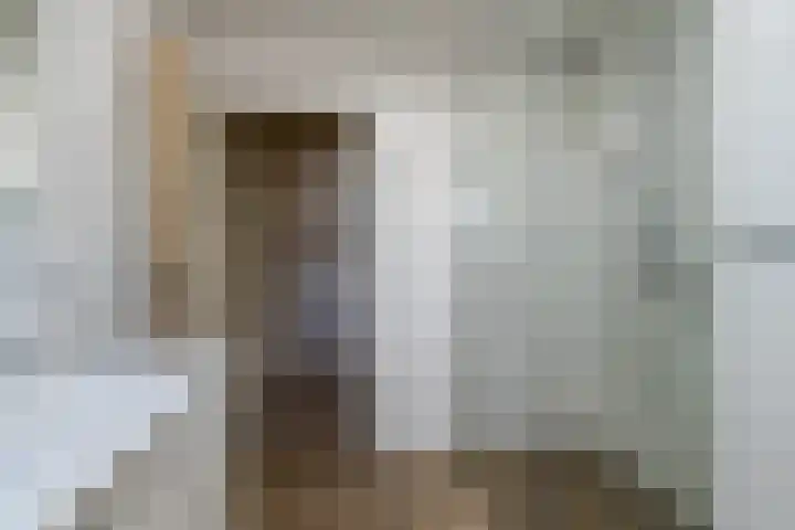 Nieuwstraat 6 Zuilichem thumbnail 39