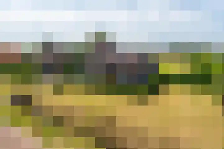 Nieuwstraat 6 Zuilichem thumbnail 4