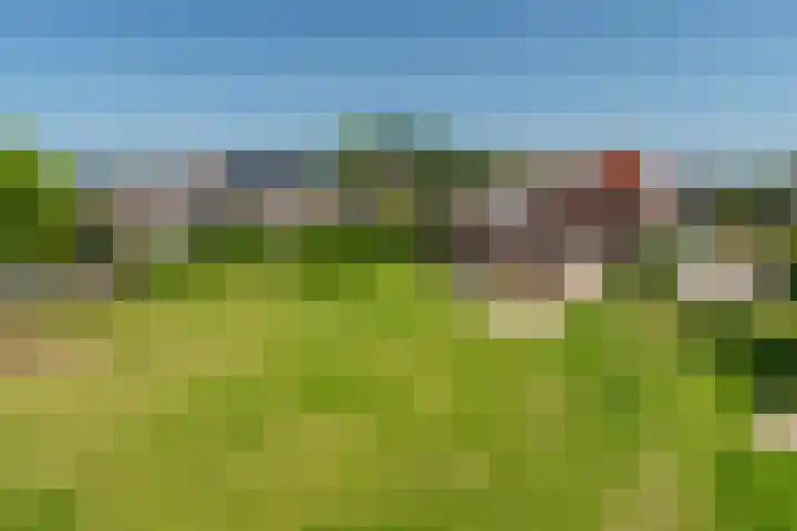 Nieuwstraat 6 Zuilichem thumbnail 41
