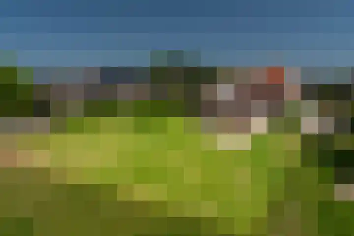 Nieuwstraat 6 Zuilichem thumbnail 42