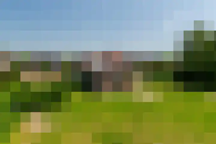 Nieuwstraat 6 Zuilichem thumbnail 43