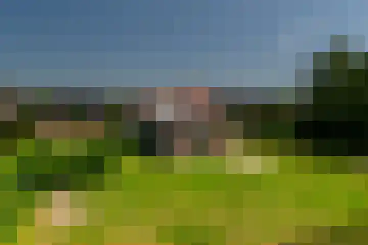 Nieuwstraat 6 Zuilichem thumbnail 44
