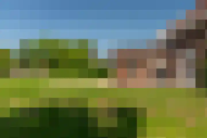 Nieuwstraat 6 Zuilichem thumbnail 46