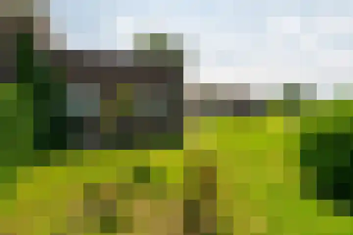Nieuwstraat 6 Zuilichem thumbnail 47