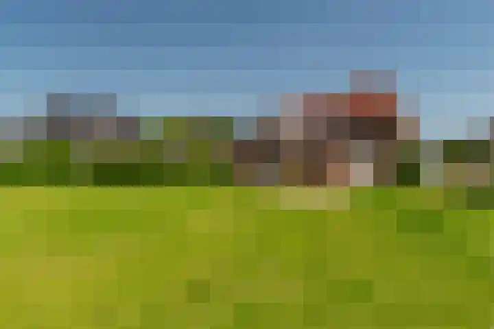 Nieuwstraat 6 Zuilichem thumbnail 48