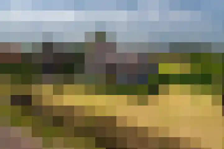 Nieuwstraat 6 Zuilichem thumbnail 5