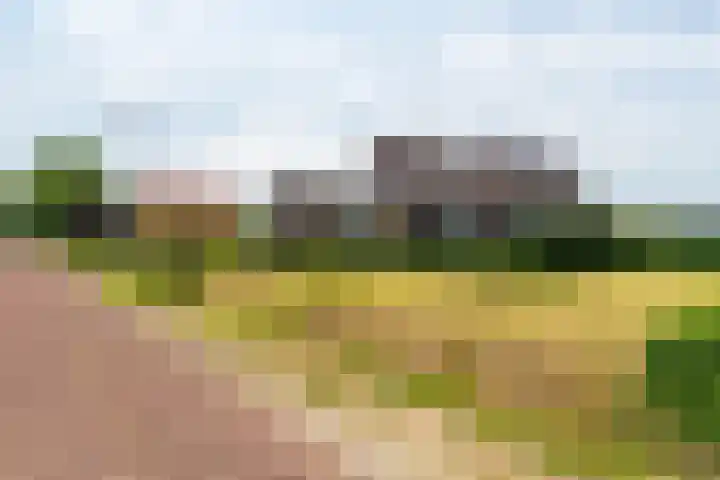 Nieuwstraat 6 Zuilichem thumbnail 7