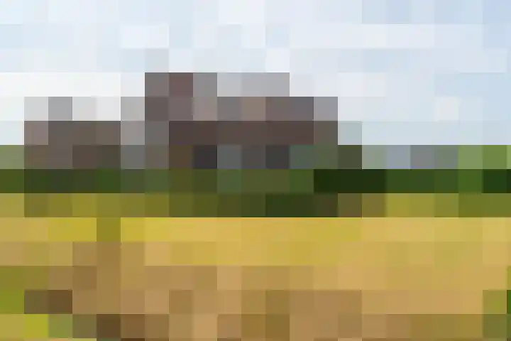 Nieuwstraat 6 Zuilichem thumbnail 8