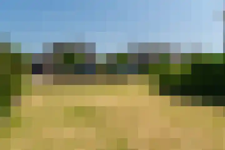 Nieuwstraat 6 Zuilichem thumbnail 9