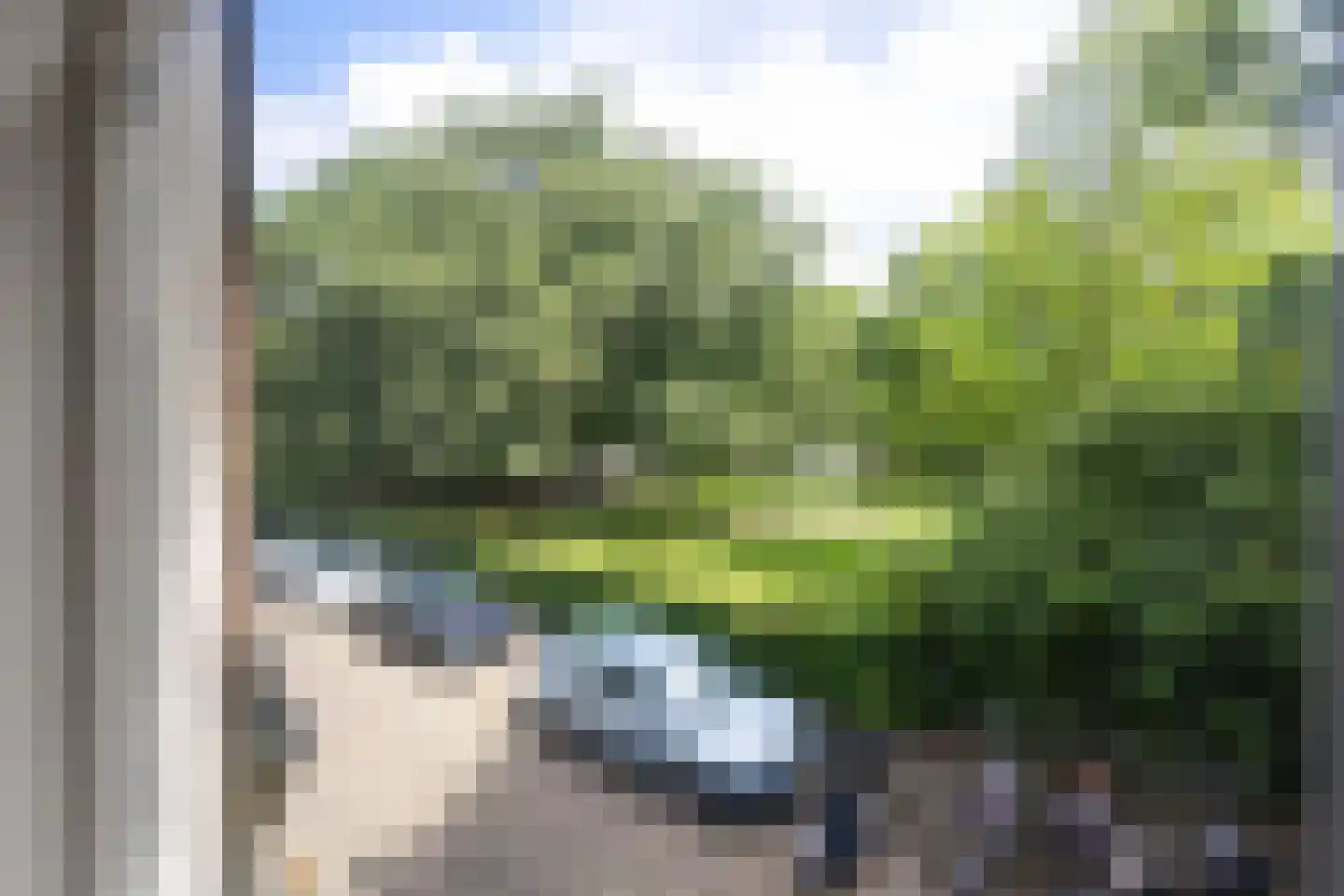 Nieuwstraat 60 Harlingen thumbnail 30