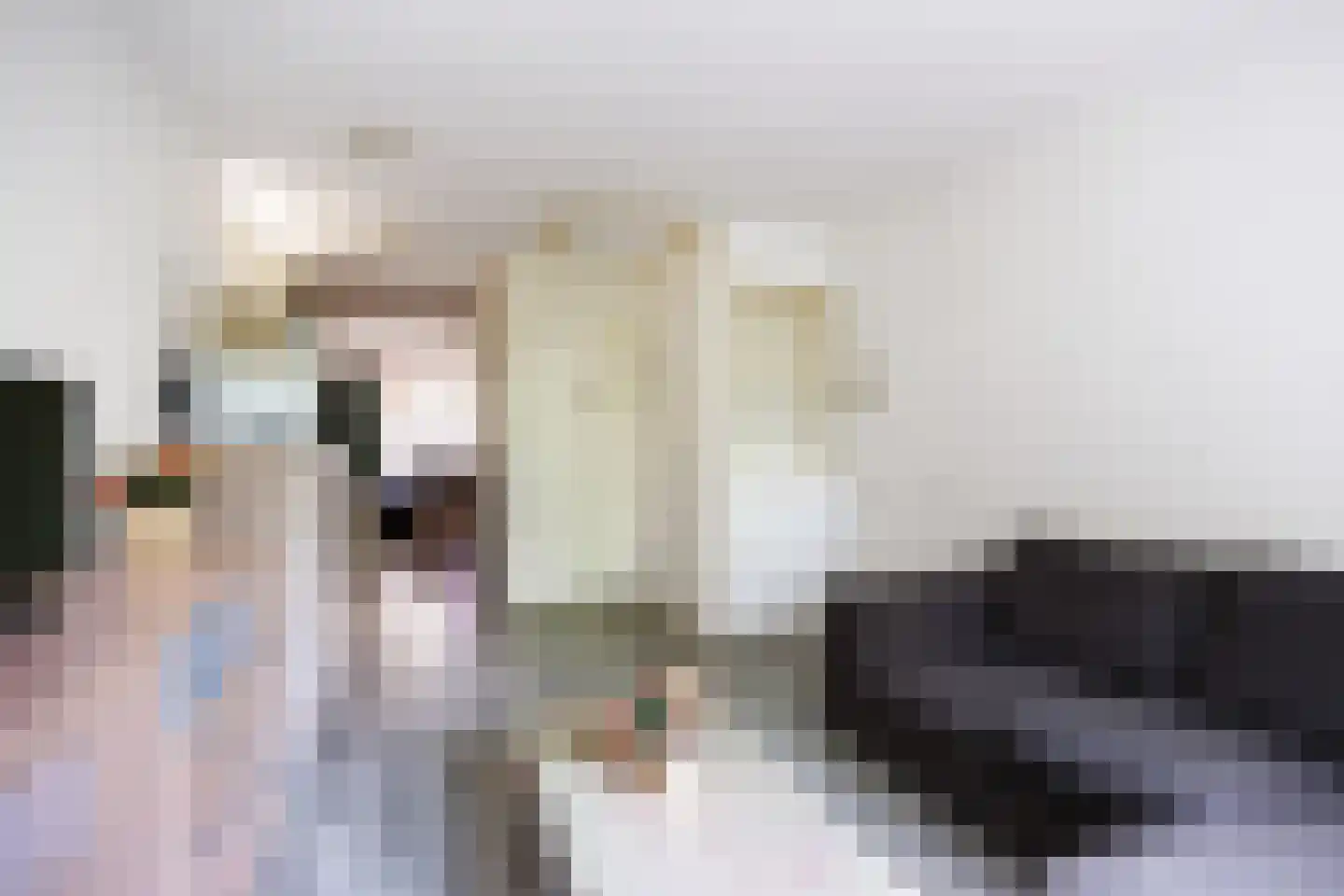 Nieuwstraat 60 Harlingen thumbnail 32