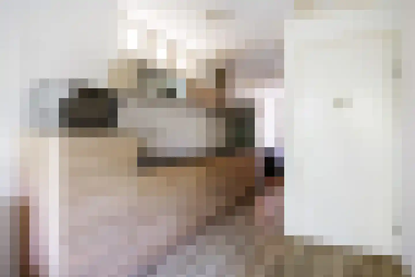 Nieuwstraat 60 Harlingen thumbnail 33