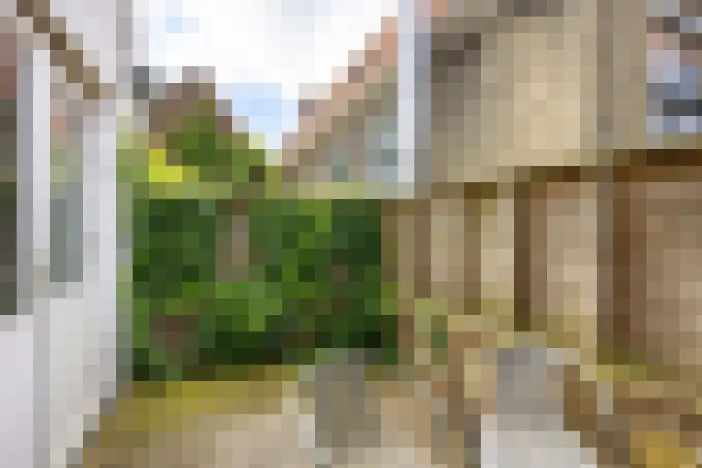 Nieuwstraat 60 Harlingen thumbnail 40