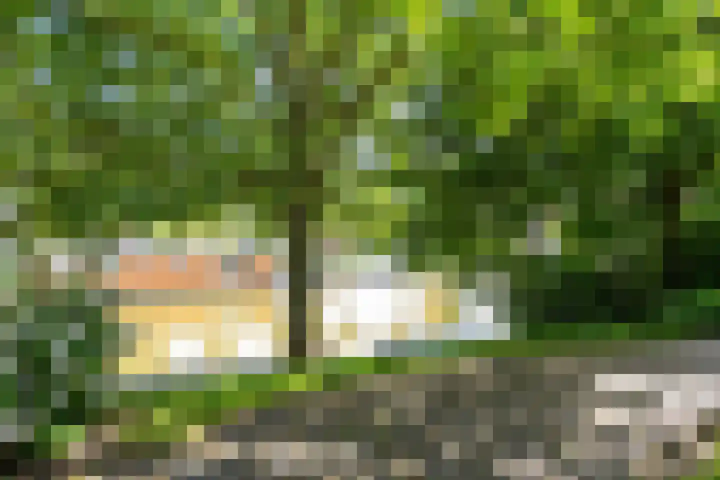 Nieuwstraat 60 Harlingen thumbnail 48