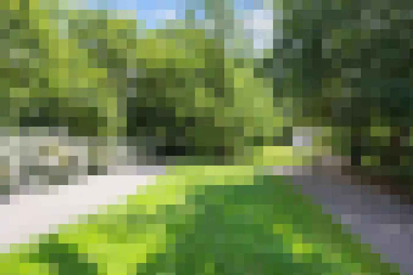 Nieuwstraat 60 Harlingen thumbnail 49