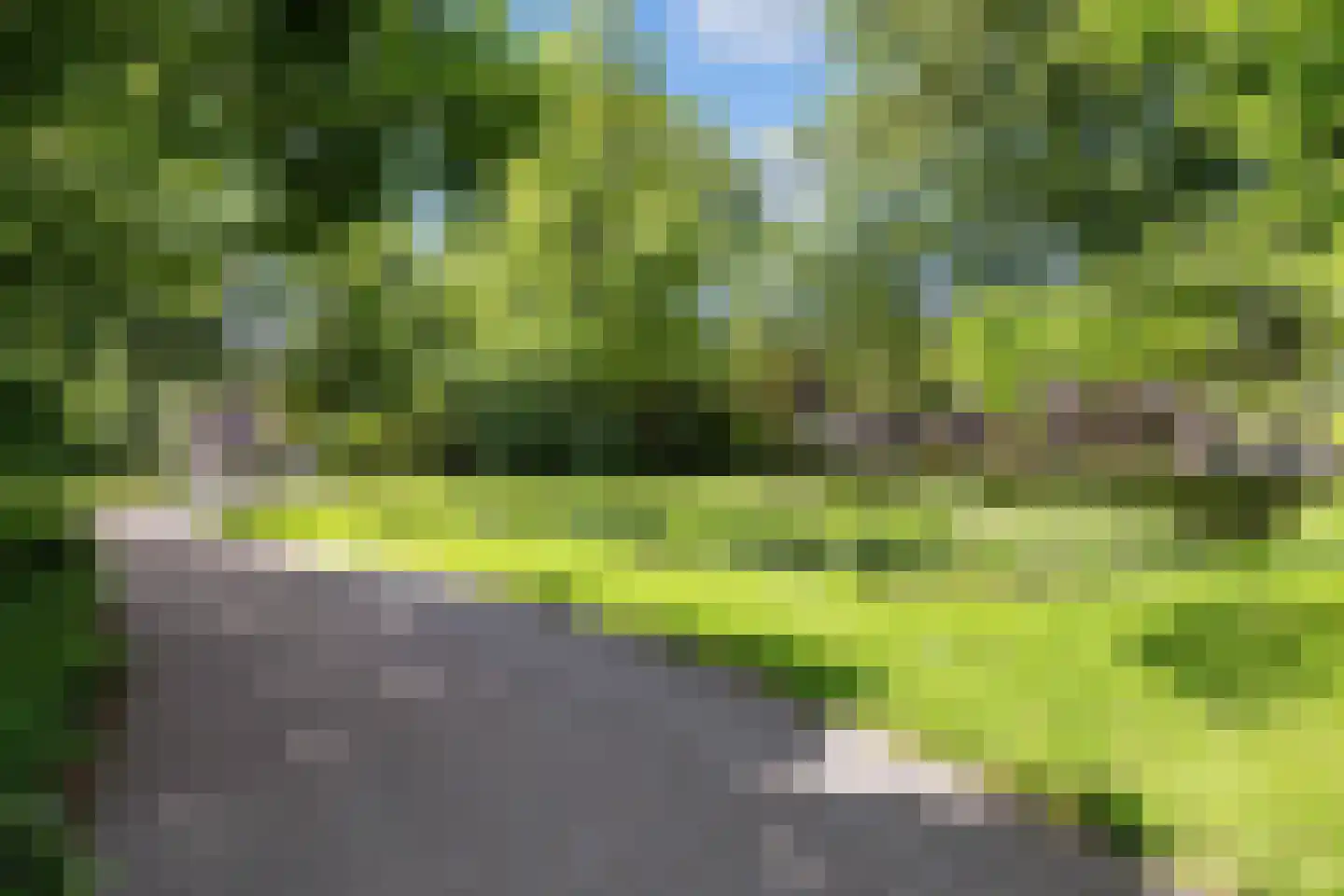 Nieuwstraat 60 Harlingen thumbnail 50