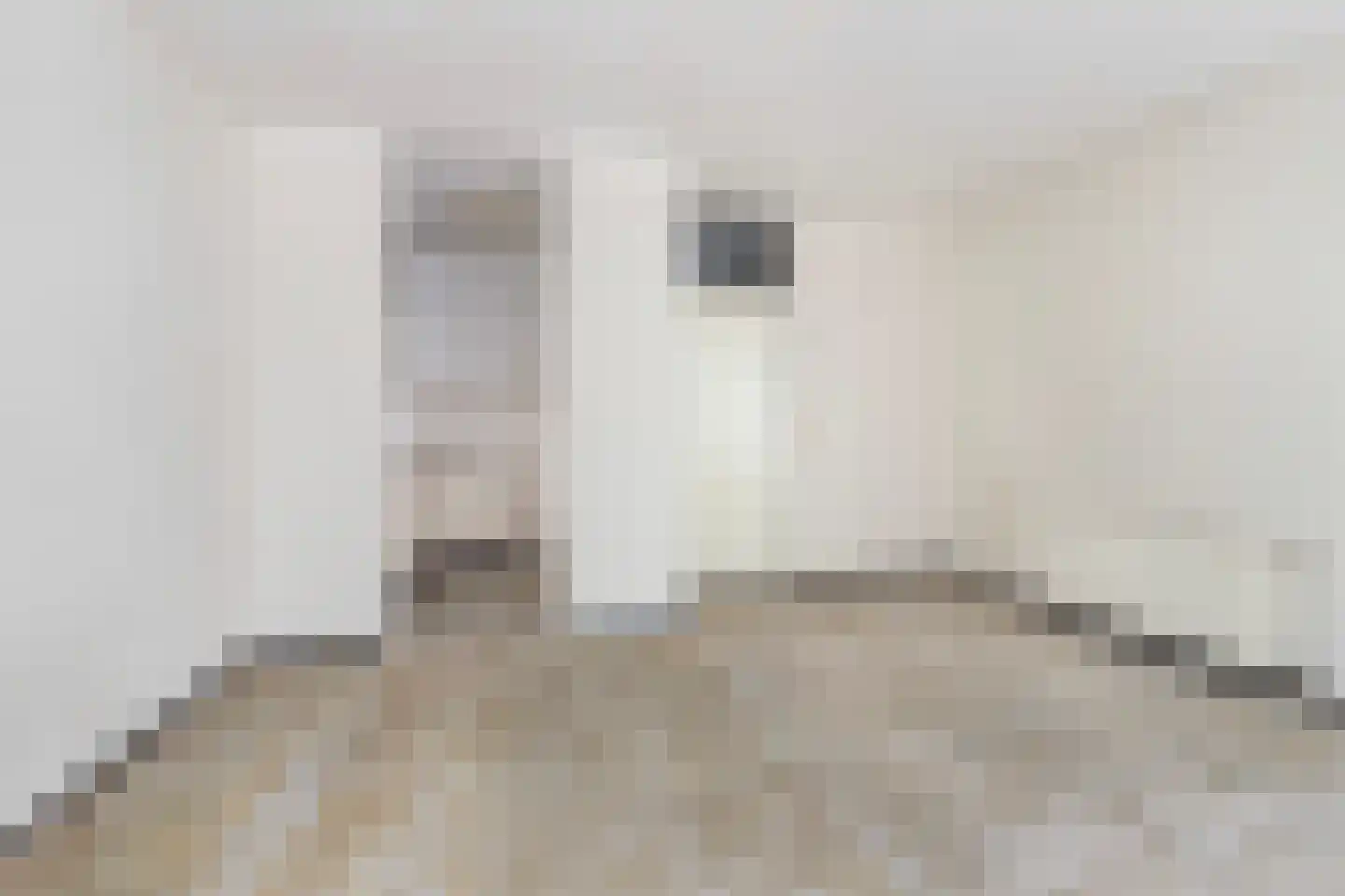 Nieuwstraat 63 Apeldoorn thumbnail 8