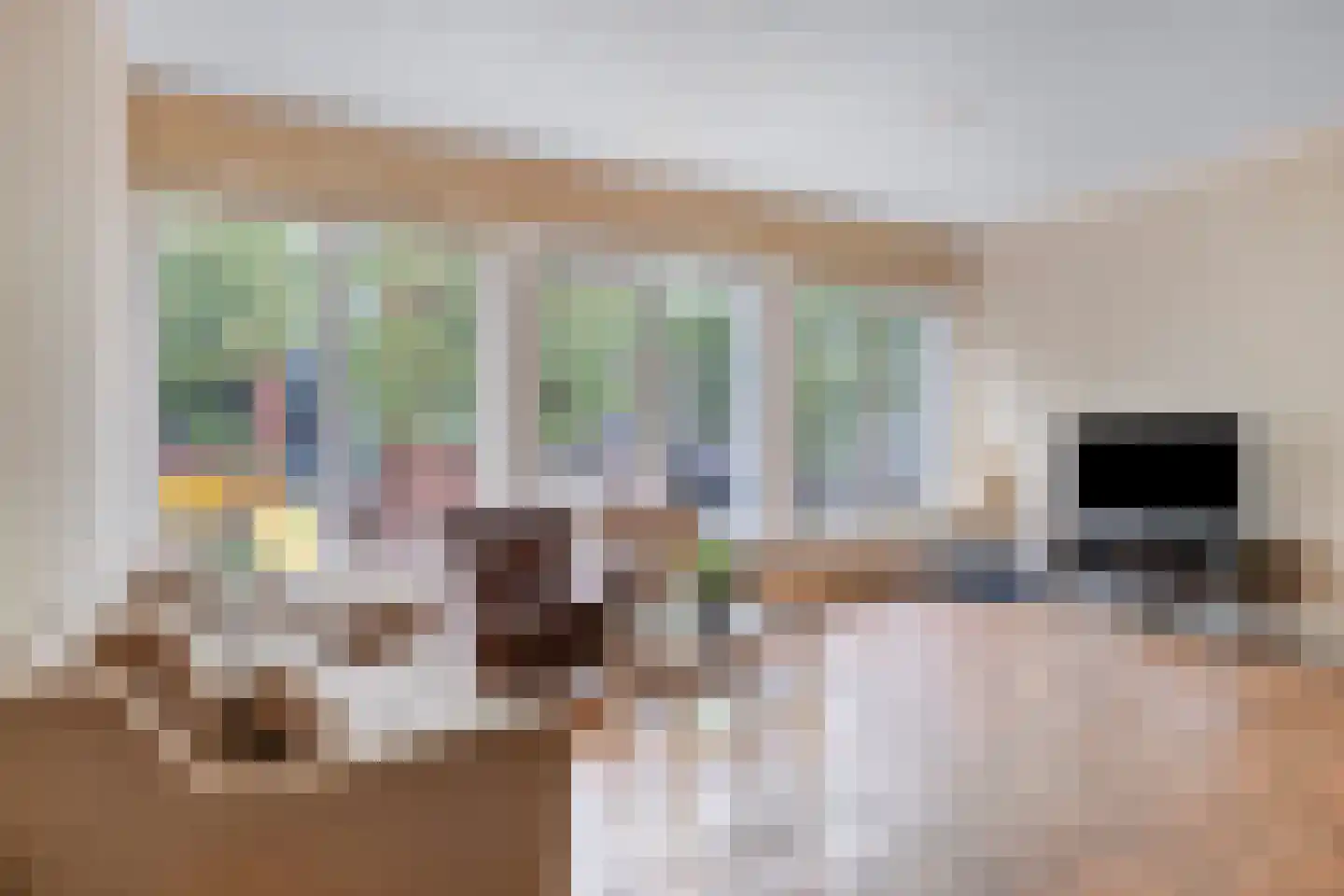 Nieuwstraat 63 Gemert thumbnail 16