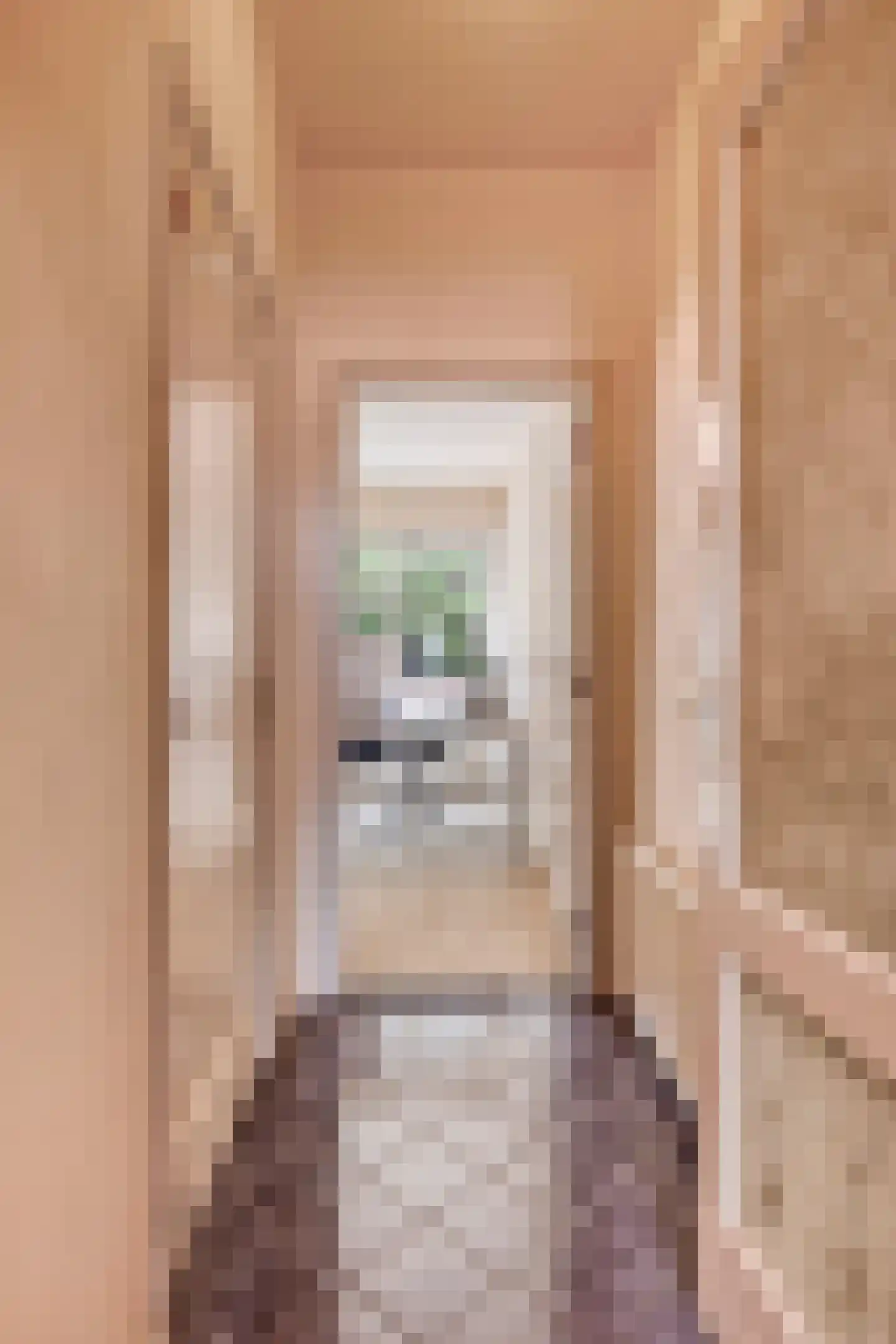 Nieuwstraat 63 Gemert thumbnail 26