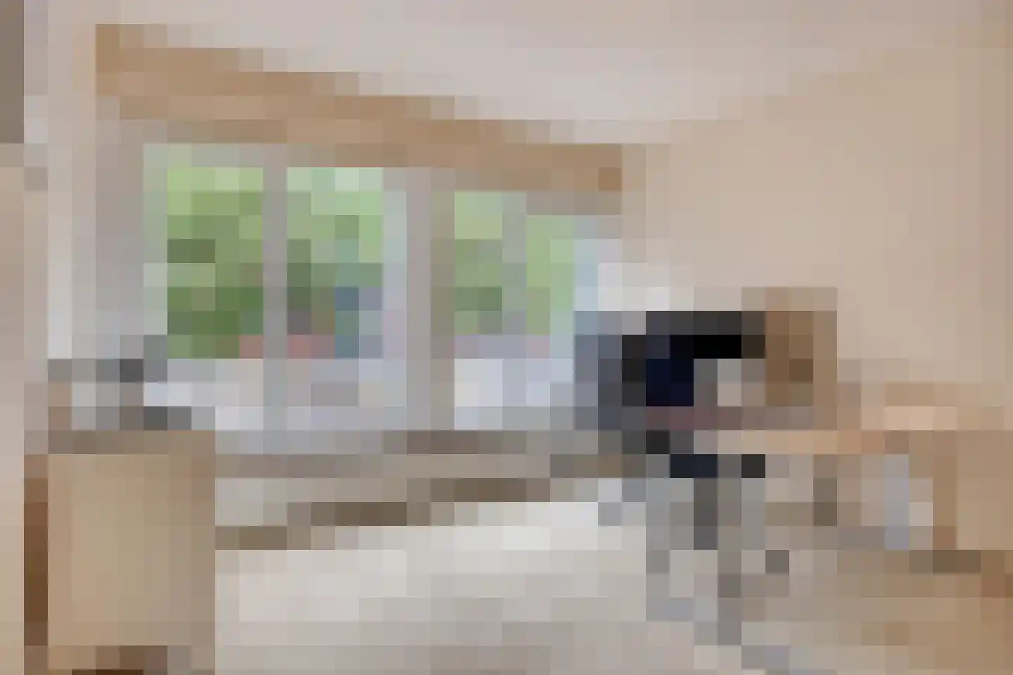 Nieuwstraat 63 Gemert thumbnail 27