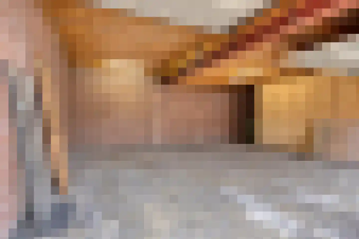 Nieuwstraat 63 Gemert thumbnail 34