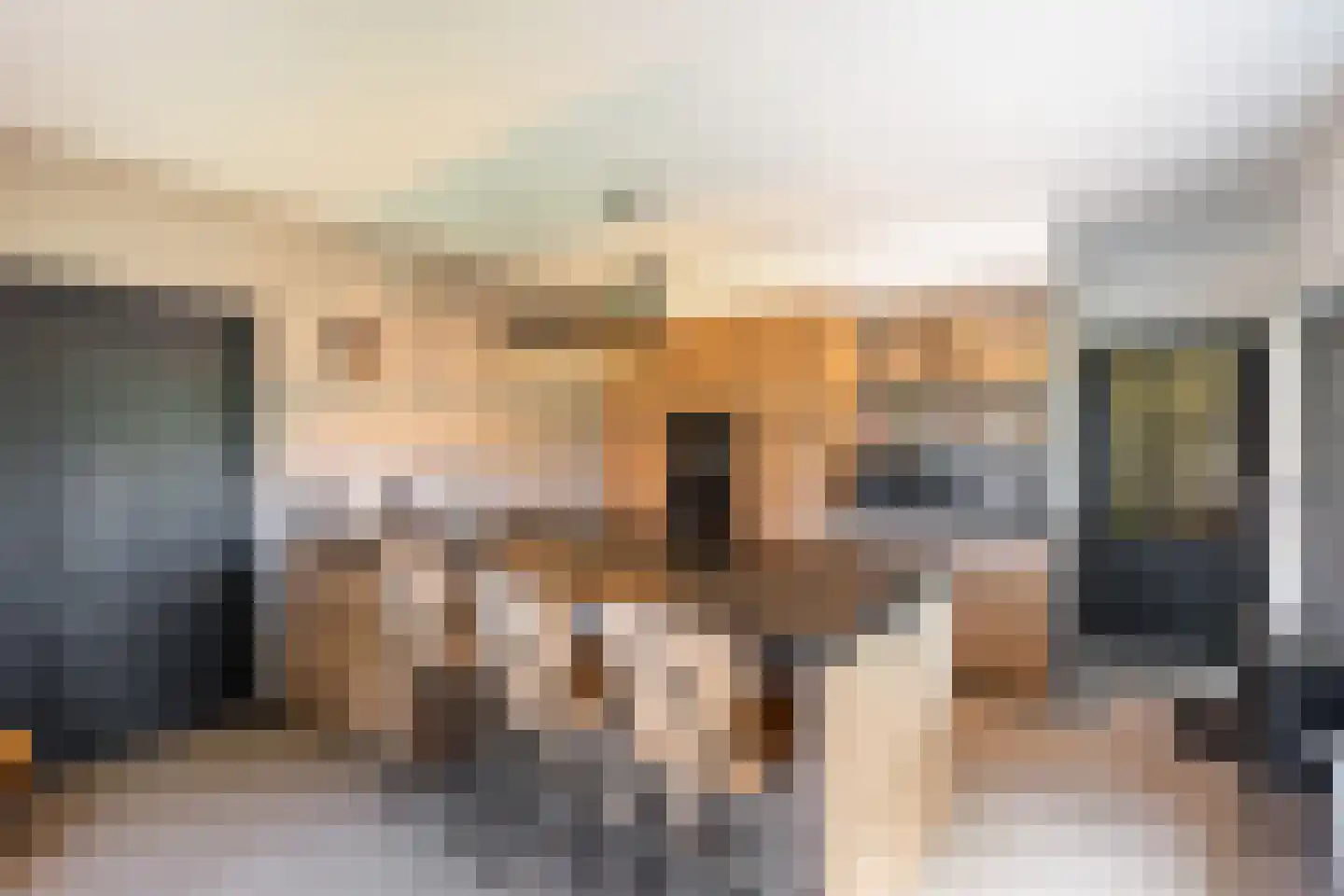 Nieuwstraat 64 Lemelerveld thumbnail 11