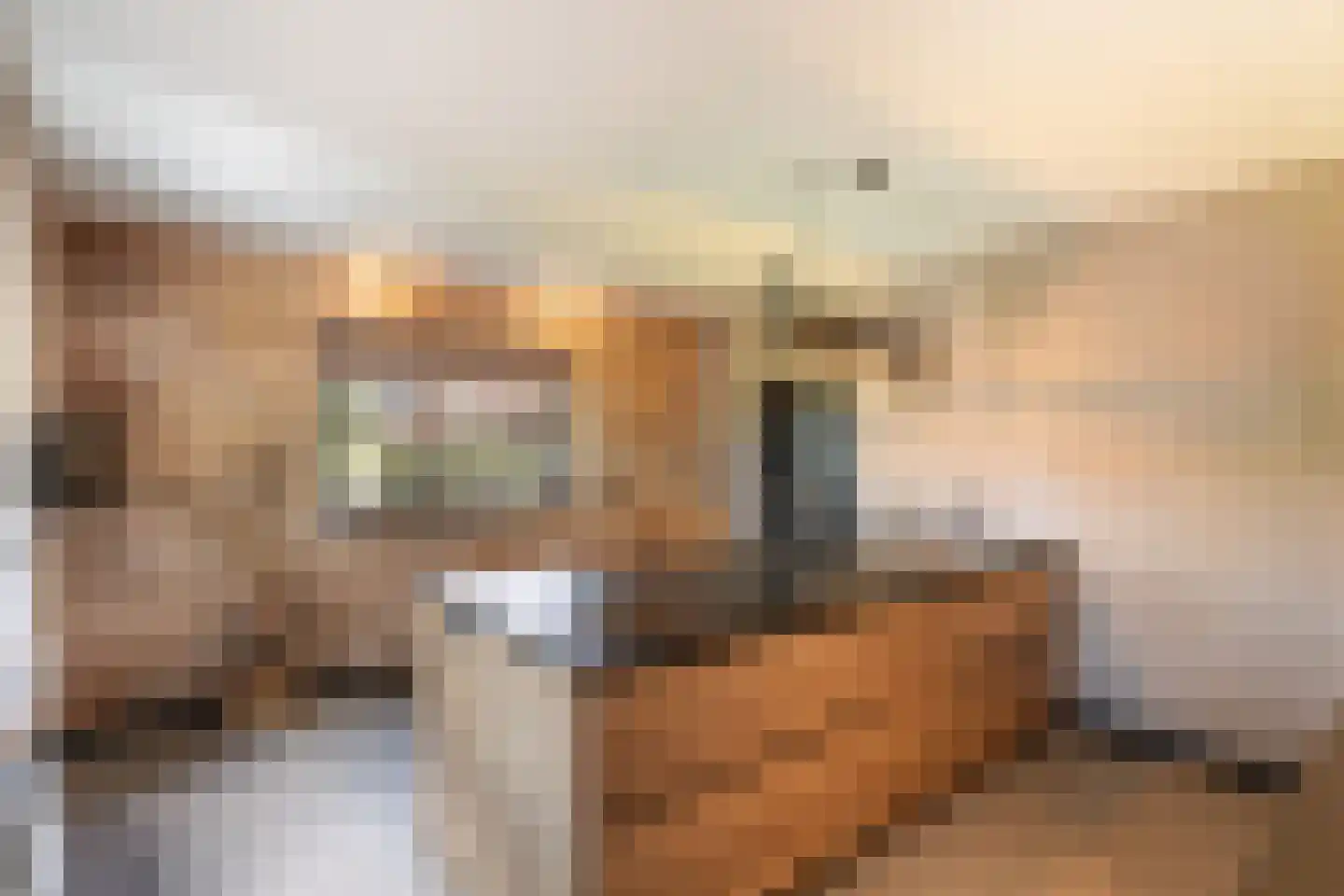 Nieuwstraat 64 Lemelerveld thumbnail 12