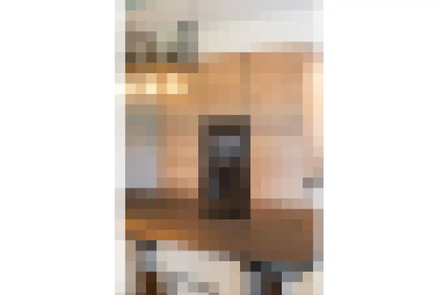 Nieuwstraat 64 Lemelerveld thumbnail 13