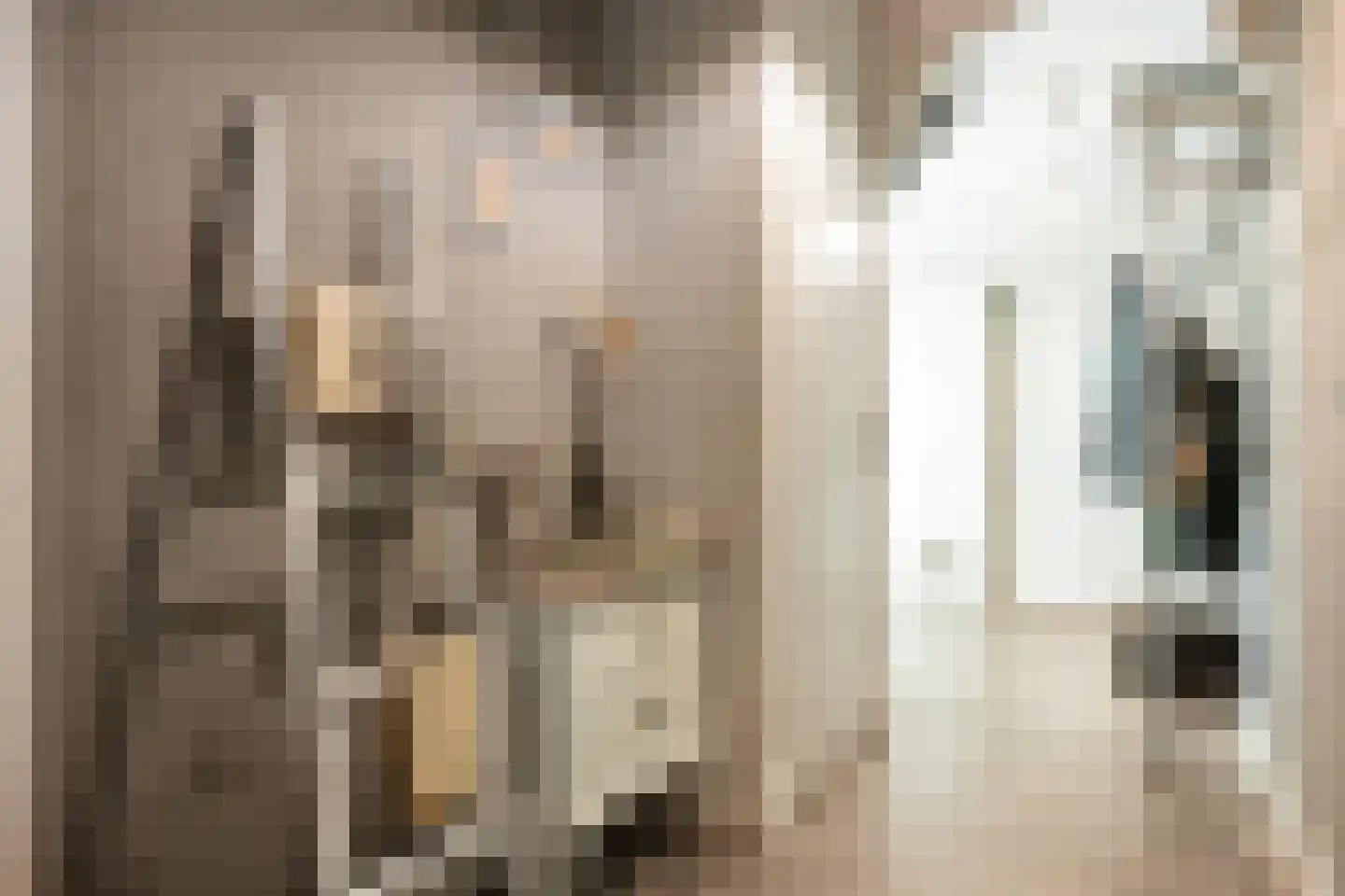 Nieuwstraat 64 Lemelerveld thumbnail 17