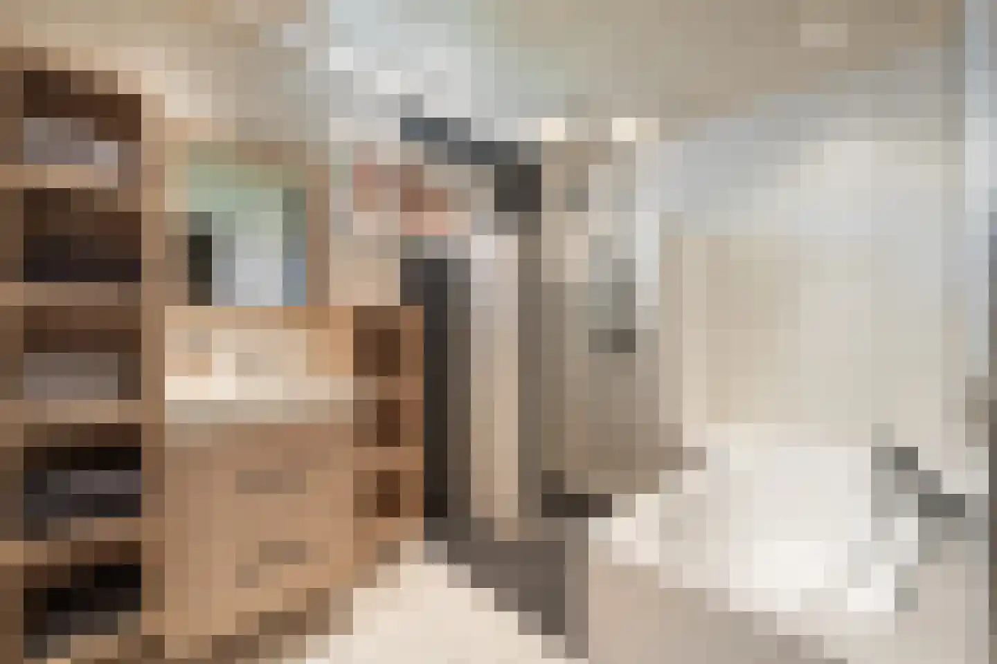 Nieuwstraat 64 Lemelerveld thumbnail 19