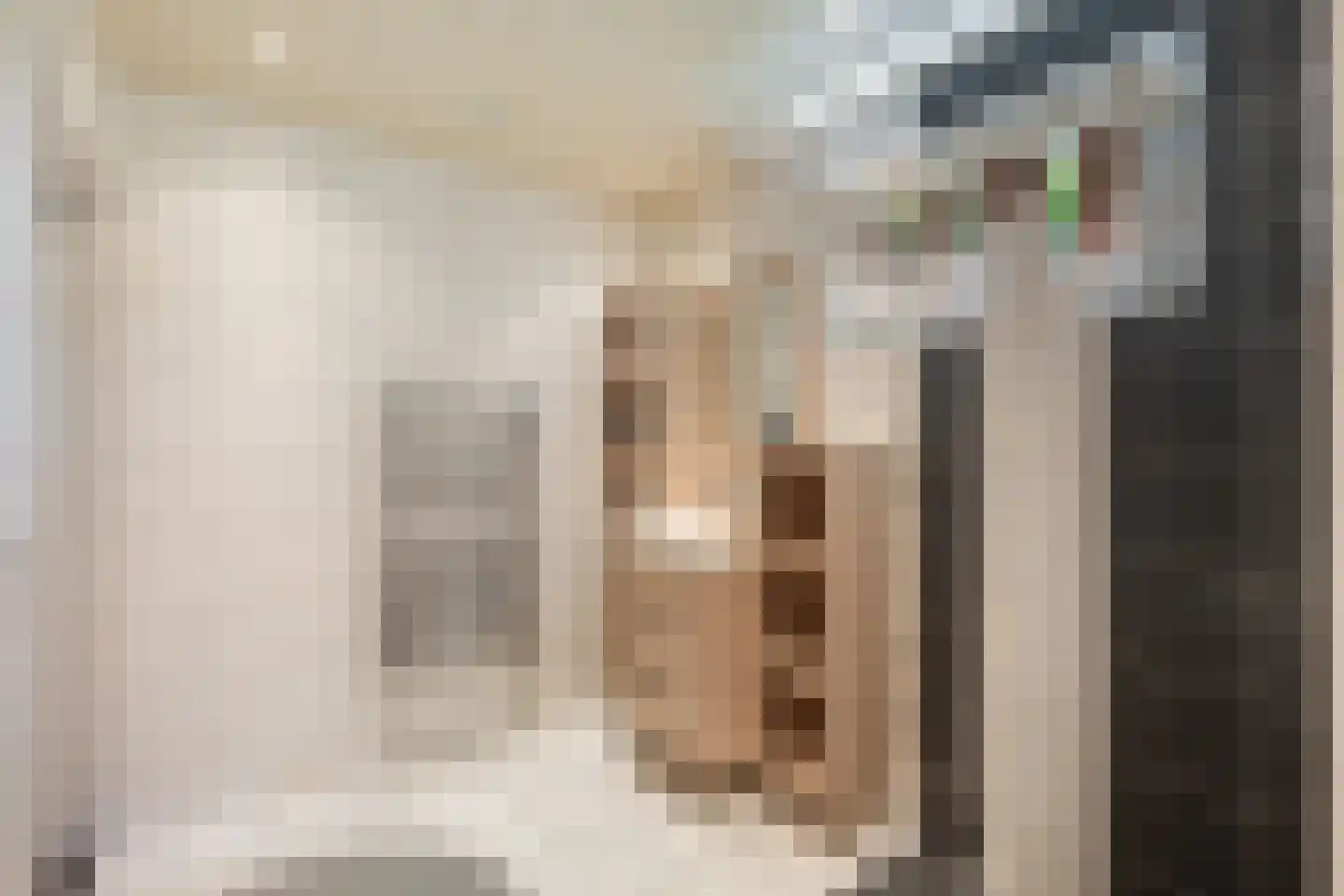 Nieuwstraat 64 Lemelerveld thumbnail 20