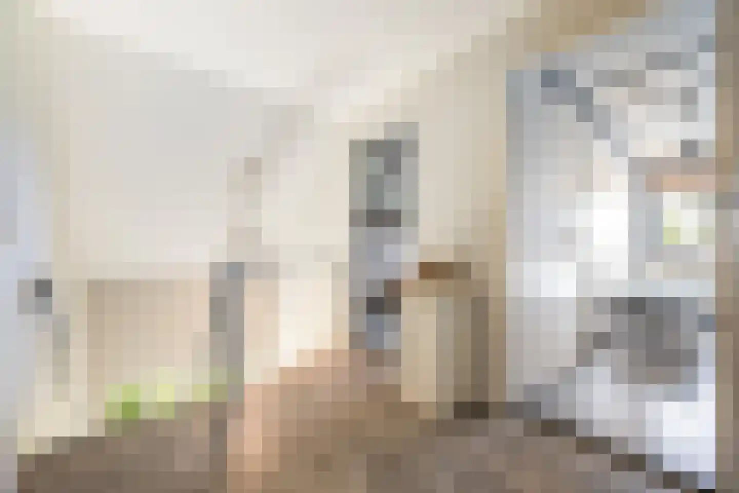 Nieuwstraat 64 Lemelerveld thumbnail 21