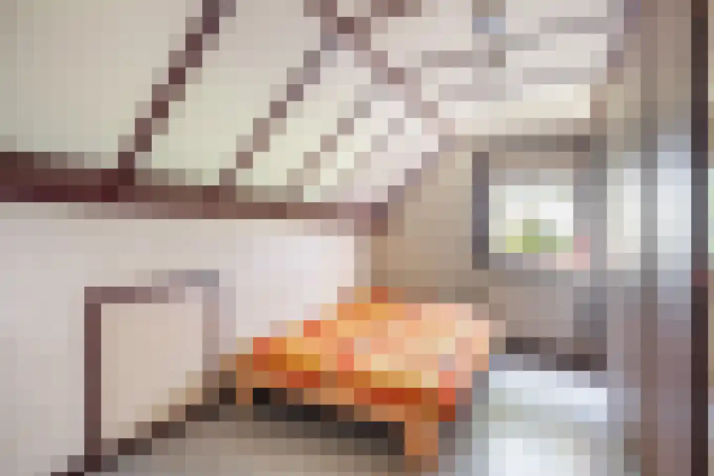 Nieuwstraat 64 Lemelerveld thumbnail 23