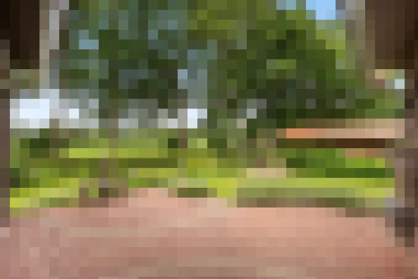 Nieuwstraat 64 Lemelerveld thumbnail 32